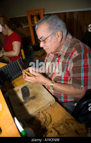 Hand rolled Cuban Cigars made in Ybor City Florida, USA Stock Photo