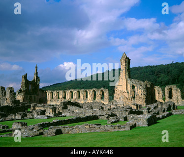 Ruins of Byland Abbey, near the village of Coxwold, North Yorkshire, England, UK Stock Photo