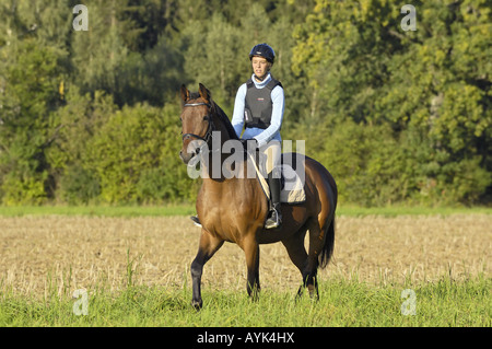 girl riding on warmblood horse Stock Photo