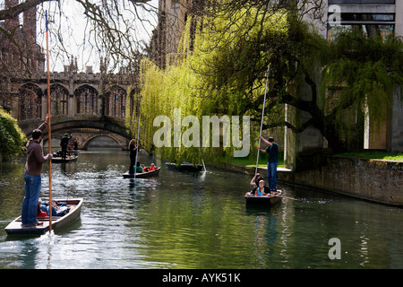 The Bridge of Sighs. Punting into the light. Cambridge. Stock Photo