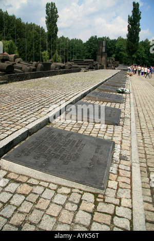 A row of memorial plaques at the International Monument to the Victims of Fascism at Auschwitz Birkenau concentration camp. Stock Photo