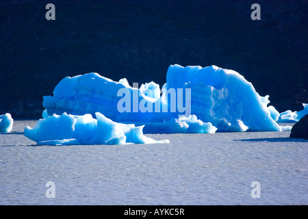 Blue drift ice seen from Hosteria Lago Grey, Torres del Paine National Park, Patagonia, Chile Stock Photo