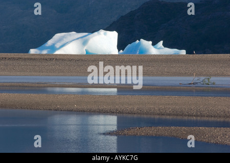Drift ice seen from Hosteria Lago Grey, Torres del Paine National Park, Patagonia, Chile Stock Photo