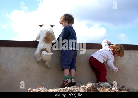 Kids messing about with dog Jack RussFriendship; companionship, closeness, intimacy, familiarity, amiability, affinity, rapport, Stock Photo