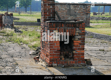 Cooking and heating range in the remains of a destroyed wooden hut in the former Nazi concentration camp at Auschwitz Birkenau. Stock Photo