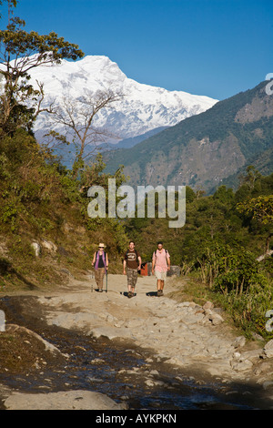himalayan trekkers hike along a trail near bulbule on the annapurna aykpkn