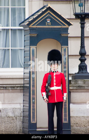 Queens Guard in front of the Buckingham Palace in London Stock Photo