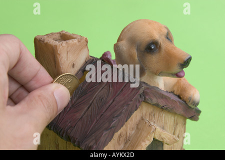 hand inserting coin into dog kennel coinbox Stock Photo
