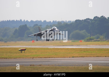 Harrier GR7 landing vertically Stock Photo