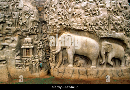 India Tamil Nadu Mahabalipuram Anjunas Penance with child amongst sculpture Stock Photo