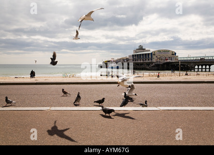 Bournemouth seafront and pier. Dorset. UK Stock Photo