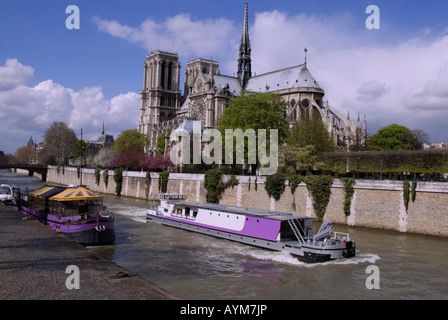 Notre Dame Cathedral and the Seine River in springtime. Stock Photo