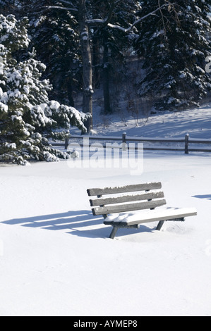Bench covered with snow in Theodore Wirth Park, Minneapolis, Minnesota Stock Photo