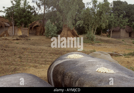 Cassava drying on boulders in the sun - Village of Nkhotakota, Lake Malawi, Malawi Stock Photo