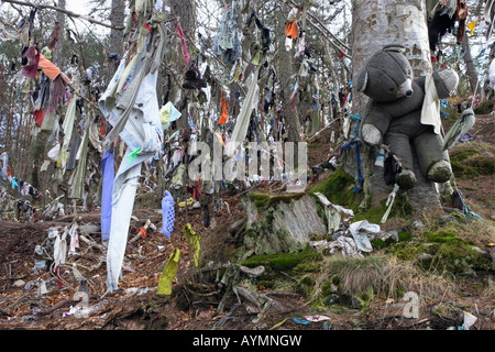 Cloths, rags and a teddy hanging from trees at the clootie well near Munlochy on the Black Isle, Scottish Highlands Stock Photo