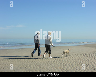 Middle aged couple walking dog on beach Stock Photo