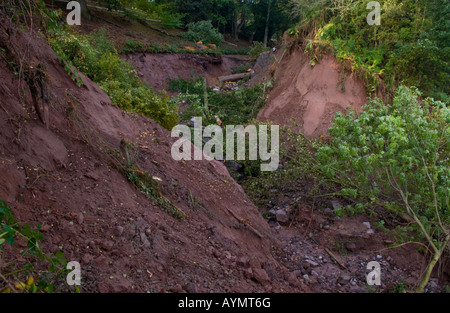 Devestation caused by canal bank collapsing at Gilwern Monmouthshire South Wales Wales UK EU Stock Photo