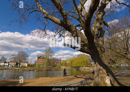 Local people relaxing and feeding birds by Barnes Pond in Barnes SW13 London United Kingdom Stock Photo