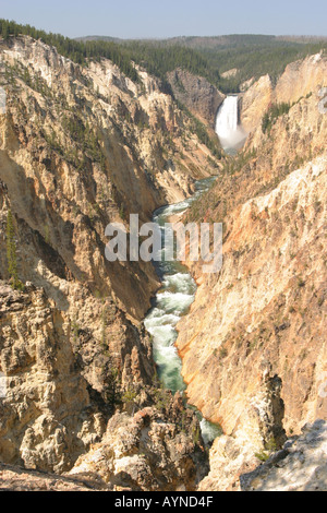 Grand Canyon of the Yellowstone and Lower Falls Stock Photo