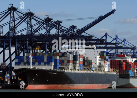 Container ships at Trinity Quay at the Port of Felexstowe in Suffolk, Britain's largest container terminal. Stock Photo