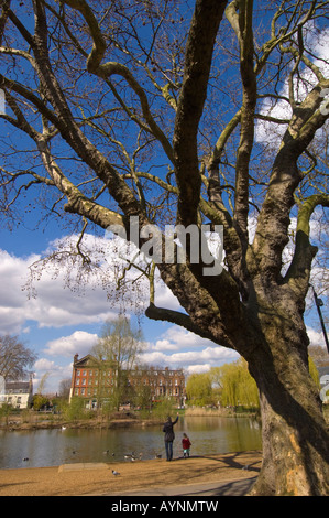 Local people relaxing and feeding birds by Barnes Pond in Barnes SW13 London United Kingdom Stock Photo