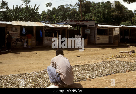 Lake fish drying in the sun - Lake Malawi, Nkhata Bay, Lake Malawi, Malawi Stock Photo