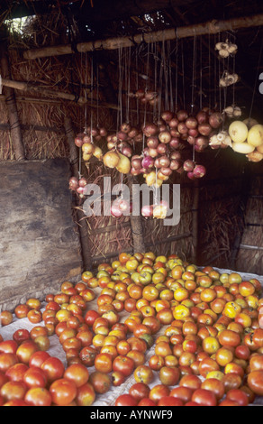 Market stall selling onions and tomatoes - Chembe, Cape Maclear, Lake Malawi, Malawi, Africa Stock Photo