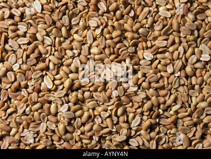Roasted salted peanuts Stock Photo