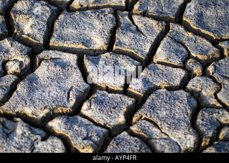 selective focus image of cracked dry earth parched by the Caribbean sun Stock Photo