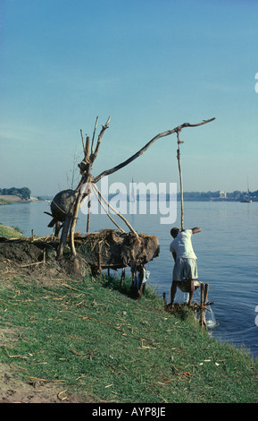 EGYPT North Africa Middle East Nile Delta Ancient Shaduf  Man using simple irrigation system on the bank of the River Nile Stock Photo