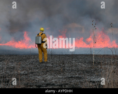 firefighter controlled prairie burn Stock Photo