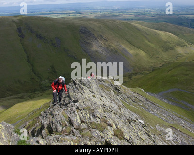 climbing Sharp Edge on Blencathra in the Lake District Cumbria Stock Photo