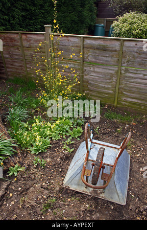 A WILDLIFE PATCH IN A RURAL DOMESTIC GARDEN WITH COWSLIPS AND A KERRIA JAPONICA PLENIFLORA. Stock Photo