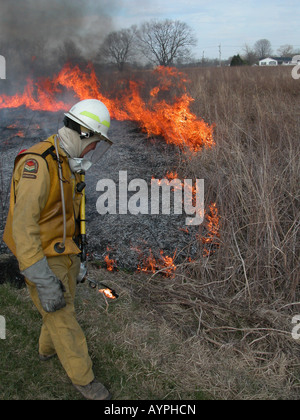 firefighter controlled prairie burn prescribed maintenance restoration flames fire restoration grass land fireman Stock Photo