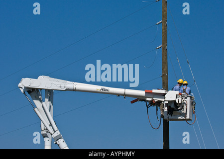 Electrical workers weaving yellow hardhats in a lift working on power lines Stock Photo