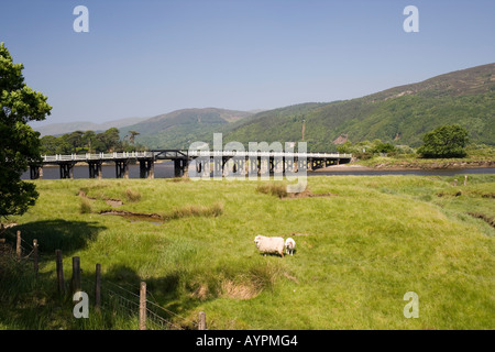 Penmaenpool wooden toll bridge over the Mawddach river near Dolgellau North Wales Stock Photo
