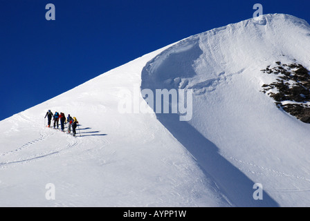 Ski mountaineers ascending ridge with cornice Ammertenspitz Bernese ...