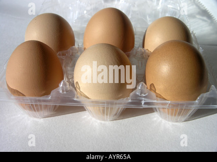6 chicken or hen eggs in a box Stock Photo