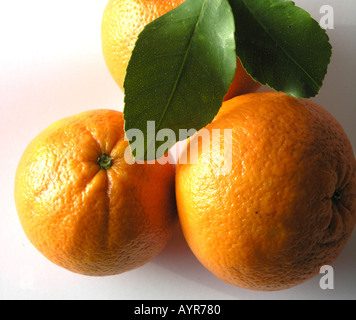 Three Oranges Stock Photo