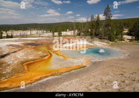 Firehole Spring in Lower Geyser Basin, Yellowstone National Park, Wyoming, USA Stock Photo