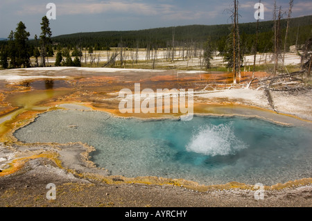 Firehole Spring in Lower Geyser Basin, Yellowstone National Park, Wyoming, USA Stock Photo