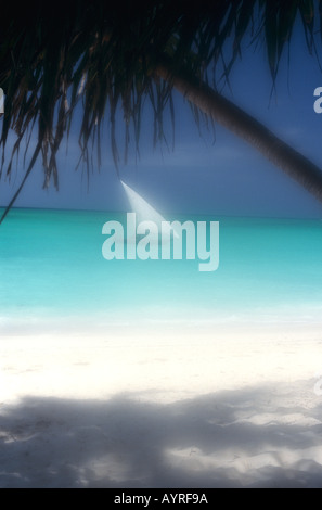 Dhow under sail near Nungwi on the north west coast of Zanzibar Island, Tanzania Stock Photo