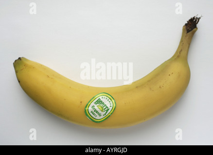 one organic banana with label Stock Photo