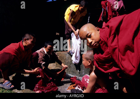 Novice monks at the Gangtey monastery, Bhutan Stock Photo