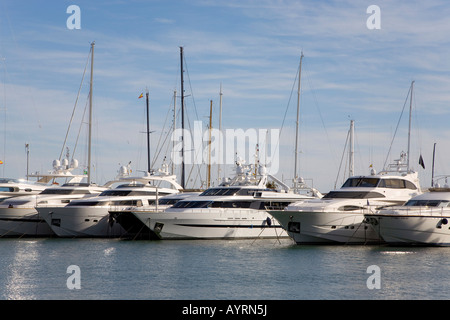 Luxury yachts in the marina at Palma, Majorca, Balearic Islands, Spain Stock Photo