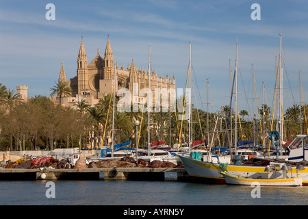 Fishing boats in the harbour and La Seu Cathedral, Palma, Majorca, Balearic Islands, Spain Stock Photo