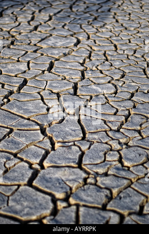 selective focus image of cracked dry earth parched by the Caribbean sun Stock Photo