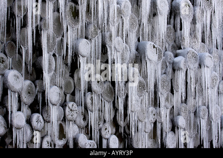 Frozen stack of logs, icicles Stock Photo