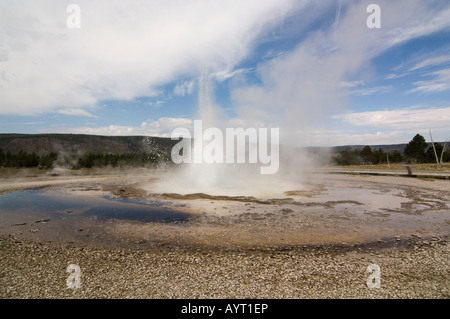 Geyser erupting in Upper Geyser Basin, Yellowstone National Park, Wyoming, USA Stock Photo
