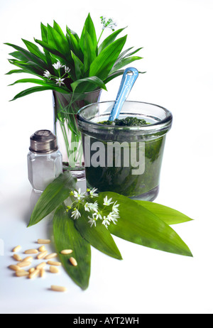 Ramsons, Wild Garlic or Bear's Garlic (Allium ursinum) leaves, flowers and pesto Stock Photo